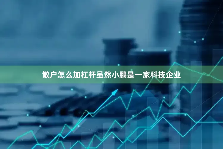 散户怎么加杠杆虽然小鹏是一家科技企业