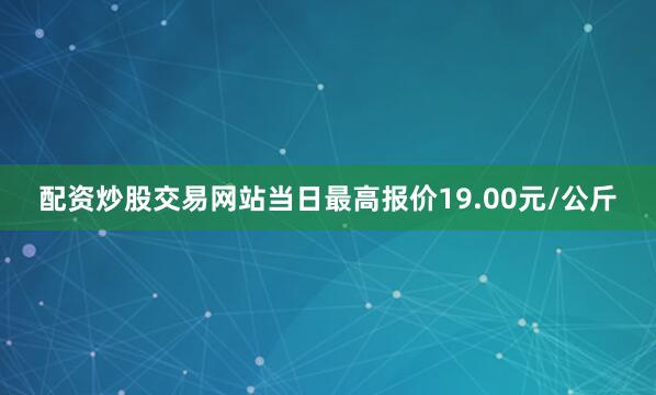 配资炒股交易网站当日最高报价19.00元/公斤